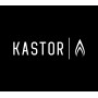 Банная печь Kastor Saga 22